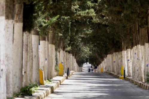 怎么说晚安最暖心