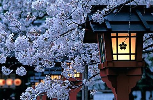 分手朋友圈说说励志