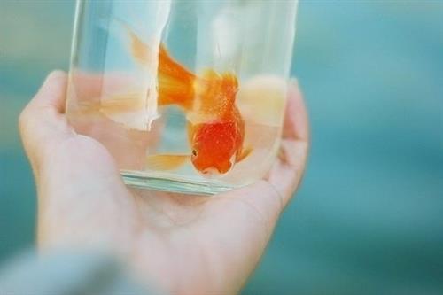 越长大越孤单的说说心情句子(39句) 越长大越孤单的说说心情句子(39句)