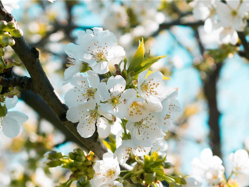 表扬孩子做饭的句子,朋友圈晒儿子做饭说说(17句)