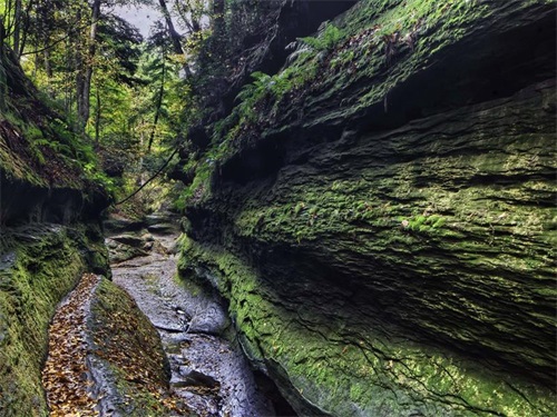 夸姐姐的话有点幽默的,写给姐姐的99条暖心话朋友圈(22句)