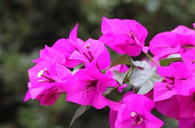 非主流qq空间伤感心情说说