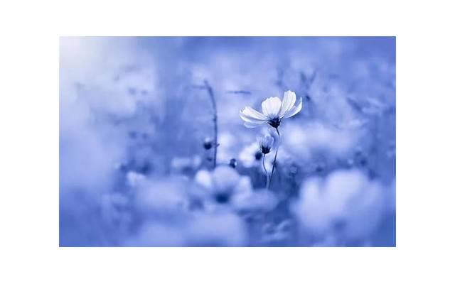 温柔暖心情话(手机聊天土味情话) 温柔暖心情话(手机聊天土味情话)