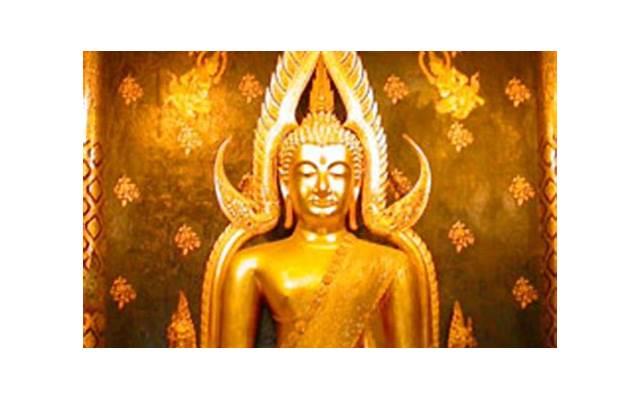 个性句子沙雕(共80句)