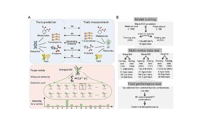 关于励志短句学习的信息