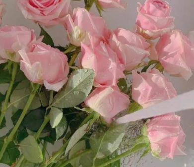 晚安心语简短一句话发圈 忙碌的一天结束了的文案