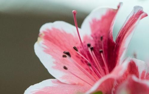 俞敏洪经典语录大全