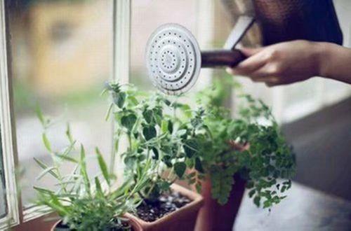 牛顿经典语录大全