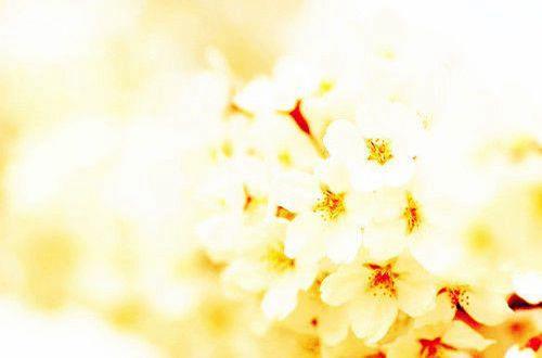 真挚友情的句子经典