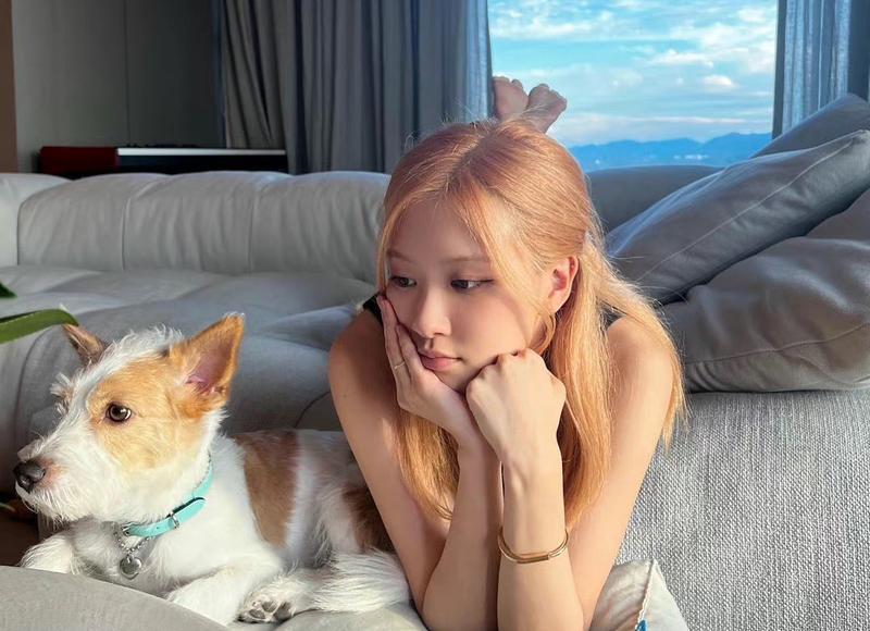 高情商下雨天发朋友圈，你会用什么话语表达心情？