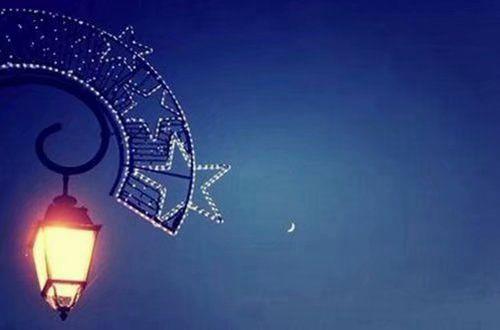 2025年简洁的花的优美语句摘录49条