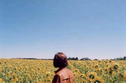 【热门】2025年早安正能量语句集合87条