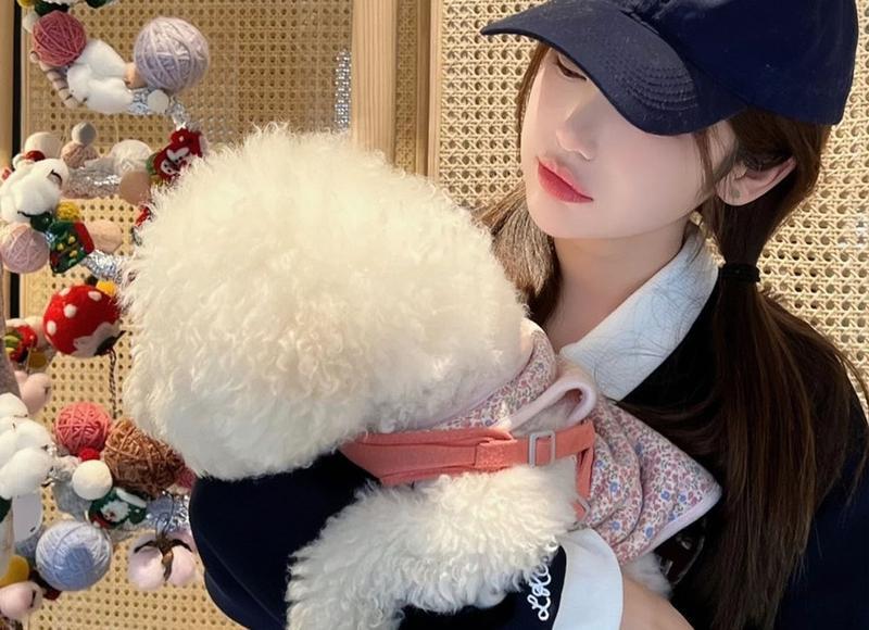 我永远是你的后盾 女孩子哭了安慰的情话