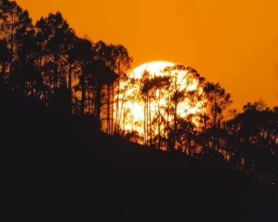 55个思念唯美语句