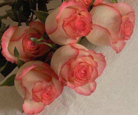 简洁的形容伤心的句子大合集62条