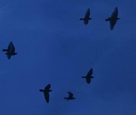 做人处事的人生哲理句子