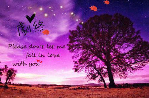 2025抖音爆款文案 沙雕又可爱的抖音文案