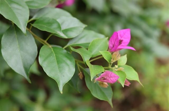 谢谢老婆送的生日礼物句子