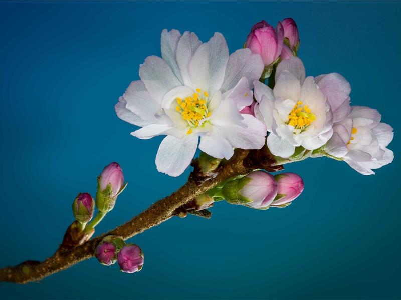 早上好的问候语大全(40句)