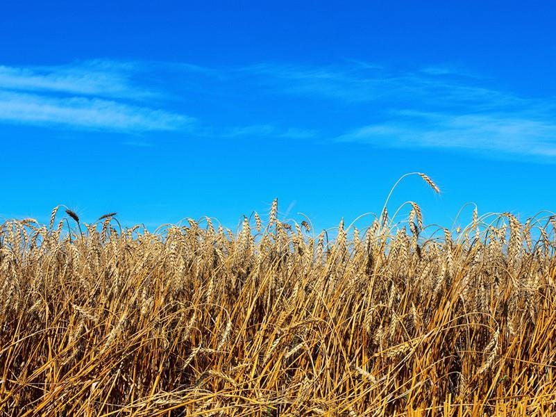 心情不爽想发泄的句子(58句)