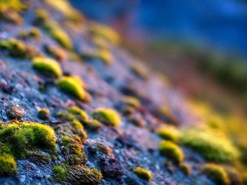 满满的回忆优美句子(44句)