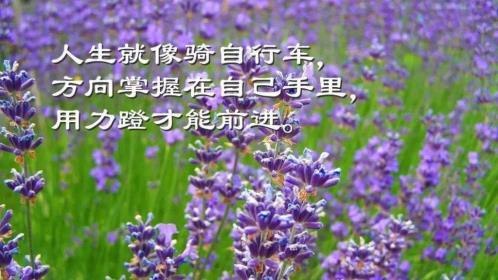 母亲生日感言简短些真实点