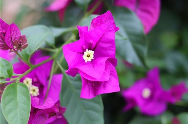 结婚官宣情话:十年前的喜欢你,十年后的我愿意(优选44句) 结婚官宣情话:十年前的喜欢你,十年后的我愿意(优选44句)