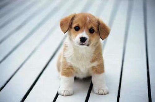 温暖早安心语正能量句子