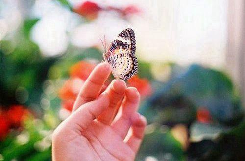 2025年新年简短文案 2025年新年文案