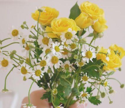 晚安的正能量语录句子