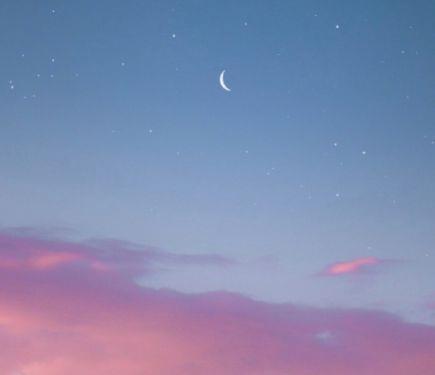 蒲公英的唯美忧伤语句