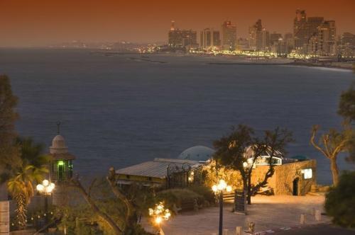 写给正在追求的女孩子的句子