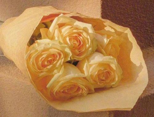 世界那么大唯美句子