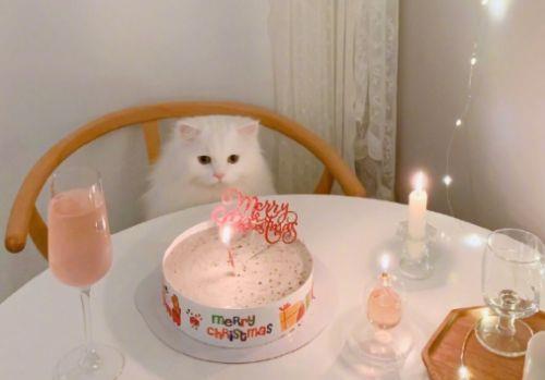 世界那么大唯美句子