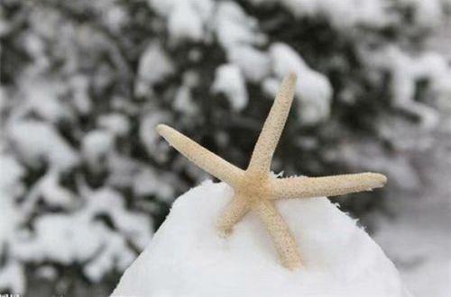 夏天的味道句子短句唯美