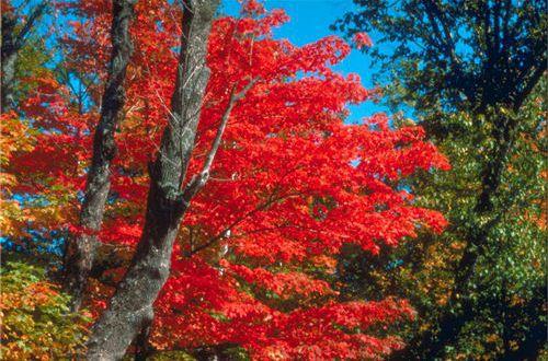 温柔到让人心疼的文案短句