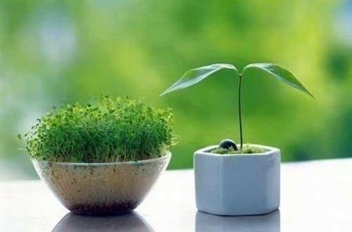 每天坚持努力的句子文案短句