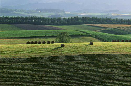 晚上文案简短吸引人 关于夜晚的文案短句