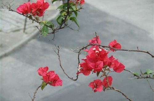 2025年简短的哲理句子汇编65句