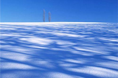 能让你的访客暴增的句子