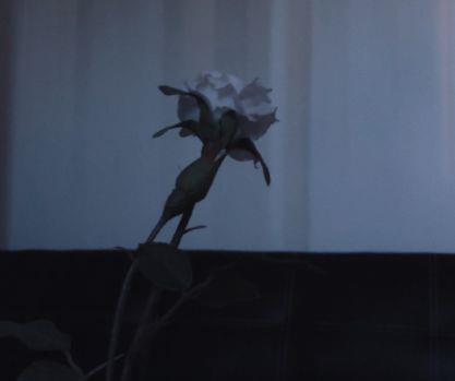 有内涵有深度的短句 简短而很有深度的句子