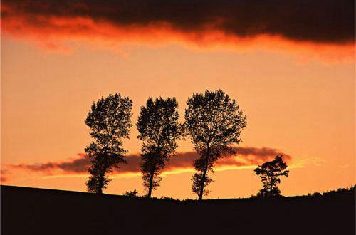 人深夜静思念的句子
