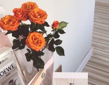 感叹人生的优美句子