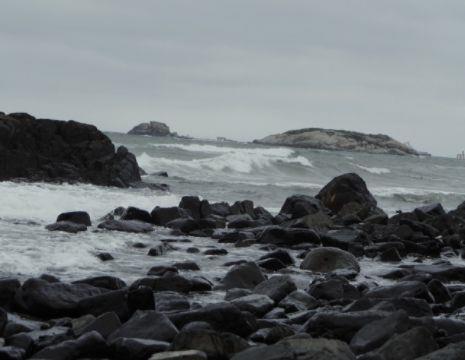 论语里表达感恩的句子