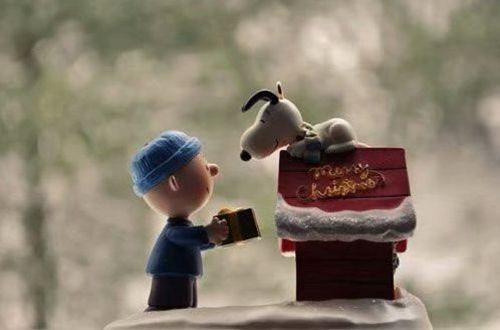 表示对品德失望的句子