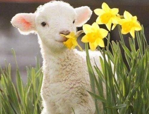 最美早安心语简单一句话