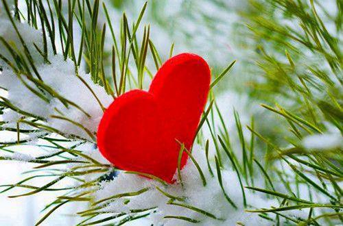 婚姻过得很压抑想离婚心很累 我想放弃婚姻了真的很累