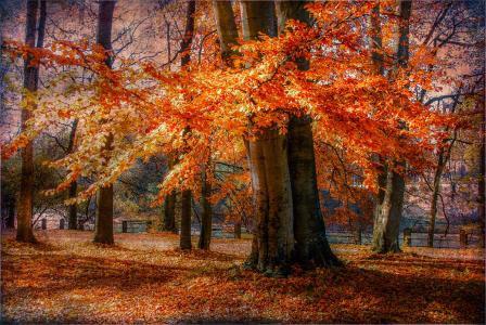 想念家乡的句子