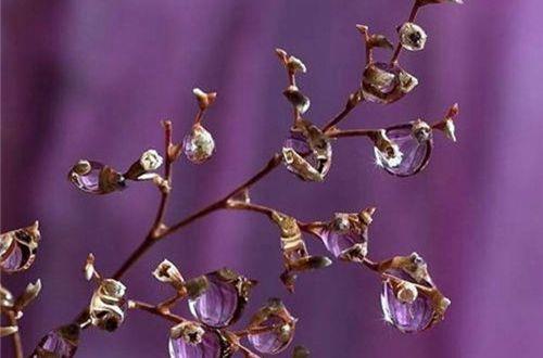 泪已流干的伤感句子