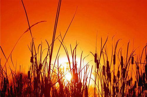 对前任失望的句子